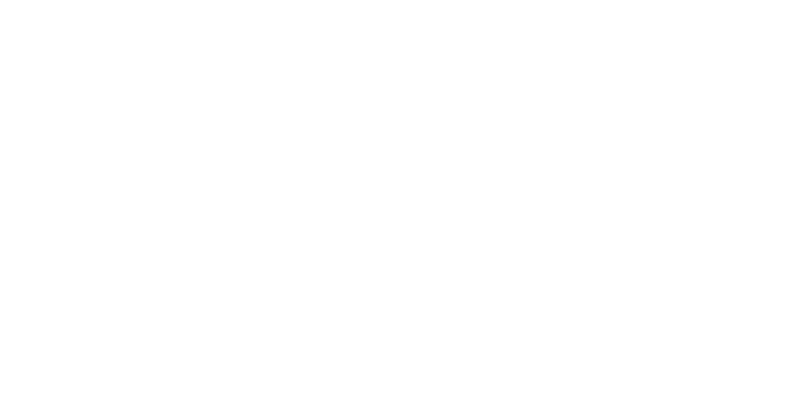 The Robinson Ale House